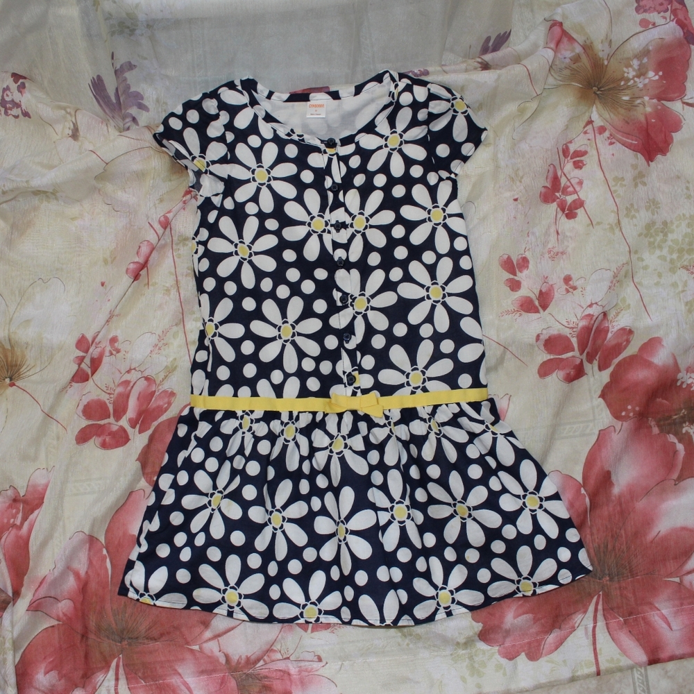 Gymboree Daisy Dress